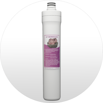 Essence-Pink