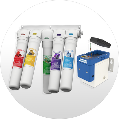Replacement Set of 4+UV Chip